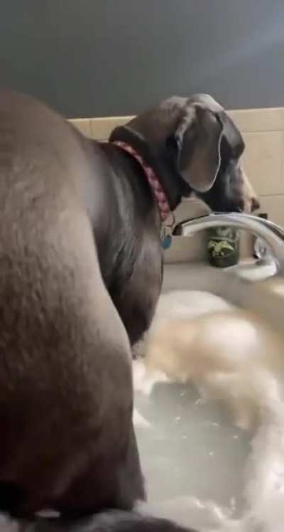 "By I'm gonna take a bath you meant WE were gonna take a bath, right?"