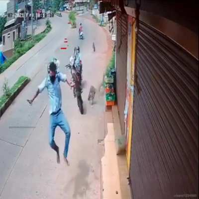 Suburban daredevil
