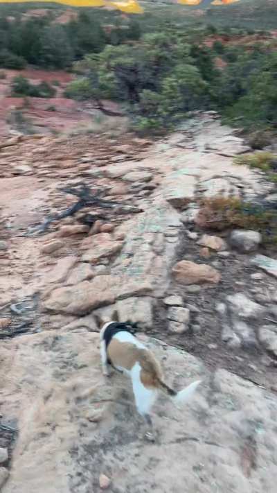 ?Soldier’s Pass dog walk Sedona, Arizona