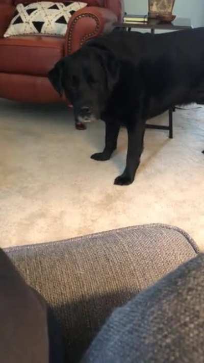 If I only knew what he wanted!
