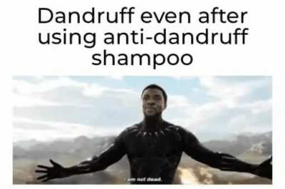 Every damn time