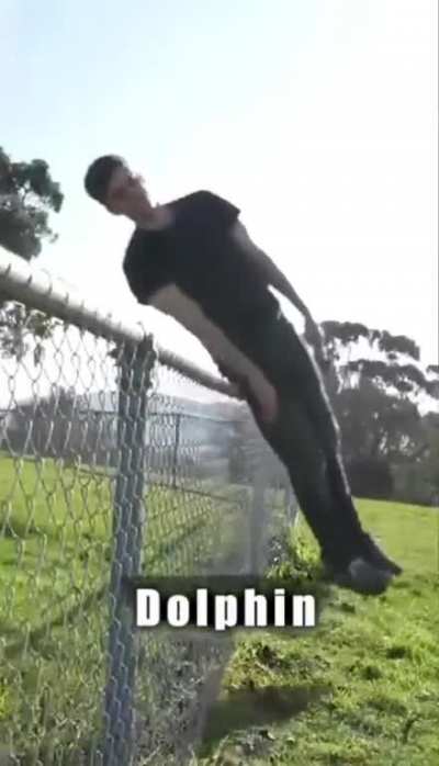 Animals be like