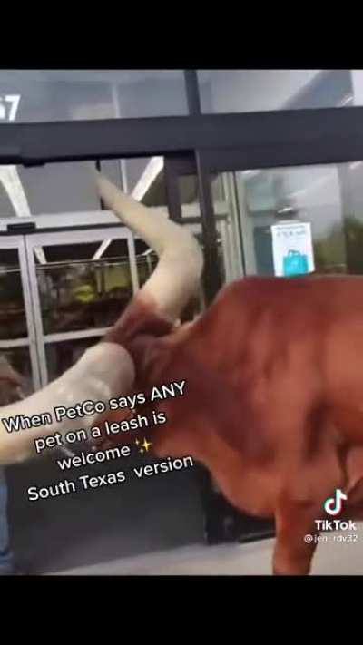 South Texas unit