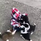 I can watch this all day everyday