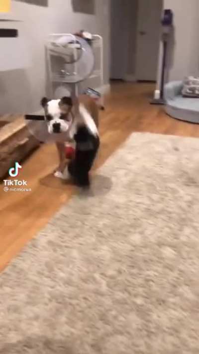 Parkour!