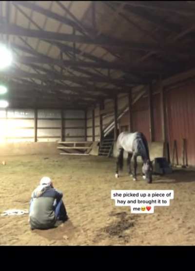 Girl acts sad to see how her horse reacts