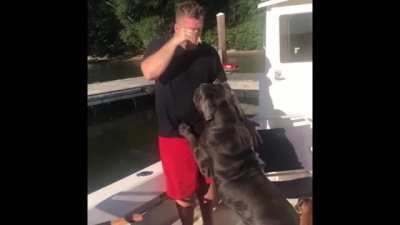 dog had enough