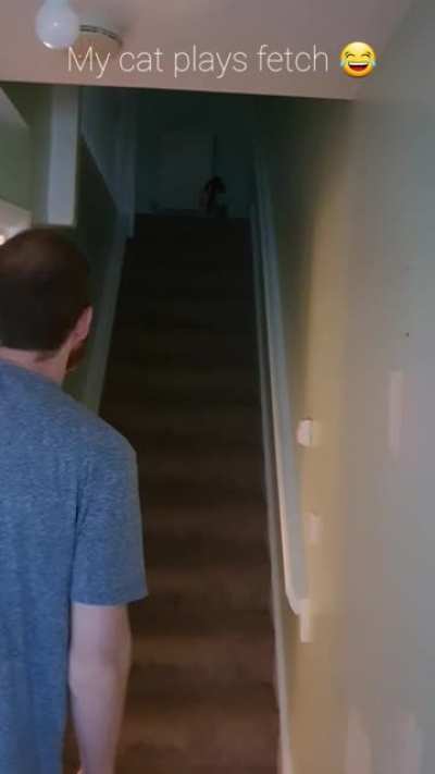 My cat plays fetch ??