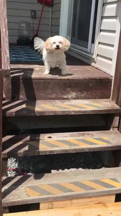 If the sun is even slightly out she squints like this. The most precious thing I’ve ever seen!