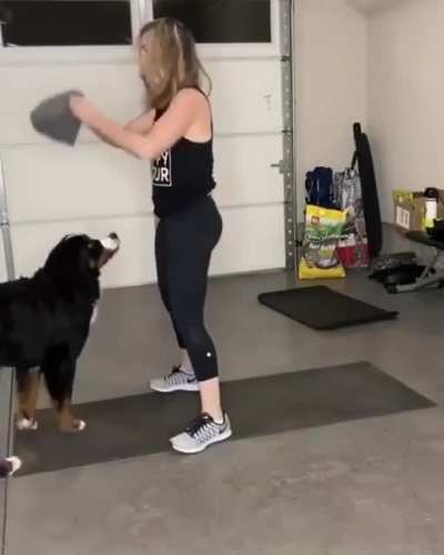 Play with me hooman!