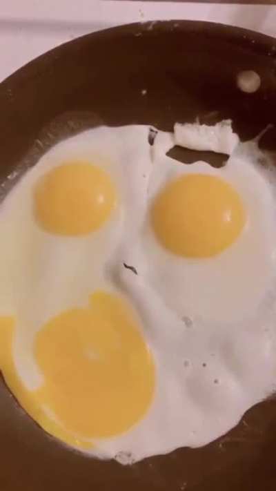Listen To These Eggs
