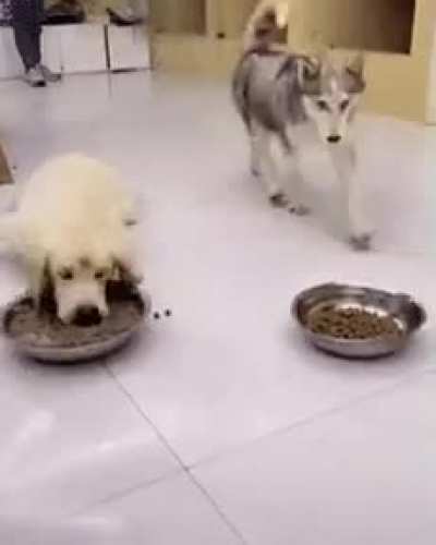 To eat calmly