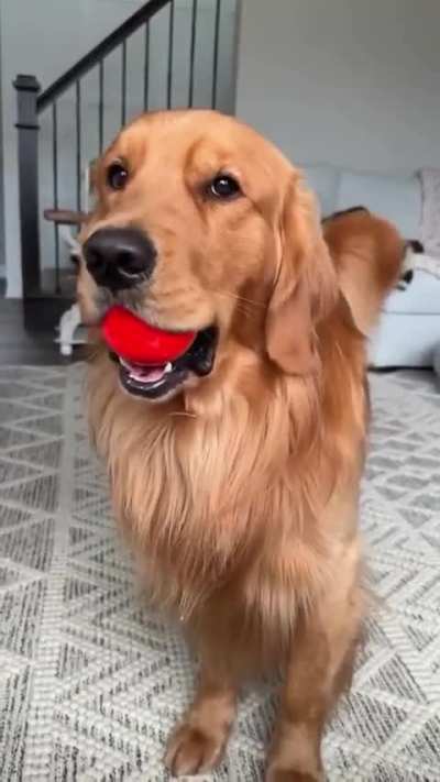 It’s like a brain massage ?