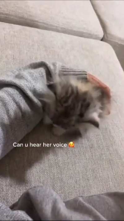 Sound on ?