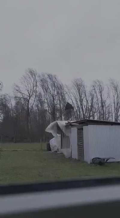 I’d better fix that tarp
