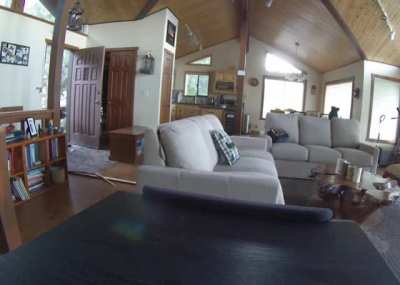 ? Bear kicks down a door to enter a house