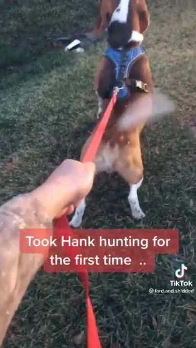 Dogs Hunting