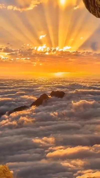 ? Imagine witnessing this with your own eyes