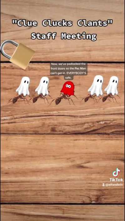More Fun with the "Clue Clucks Clants"