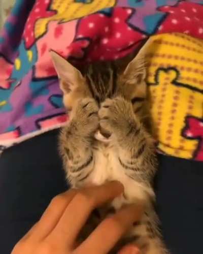 Could this get any cuter??