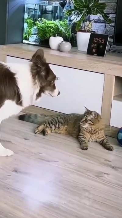 Maybe Maybe Maybe