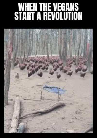 You better run Colonel Sanders