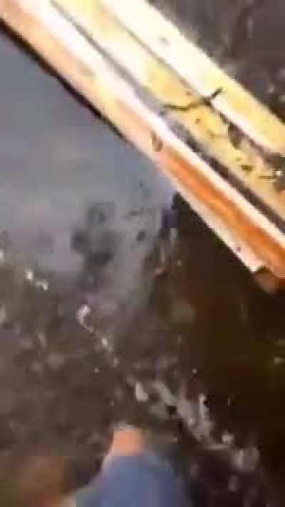 The cause of the flood has been discovered !