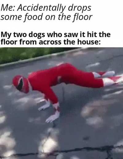 It's like they have a sixth sense