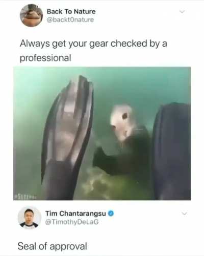 Seal of Approval