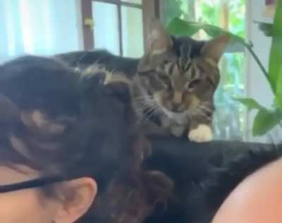 When you're being a pain in the ass and then you realize you're on camera