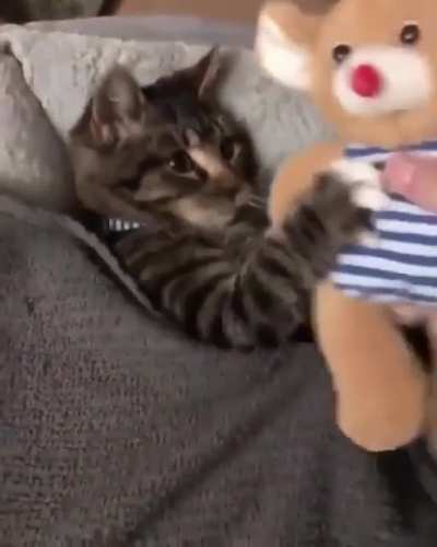 ??❤