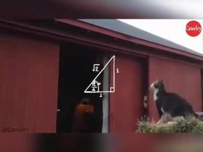 Maybe maybe maybe