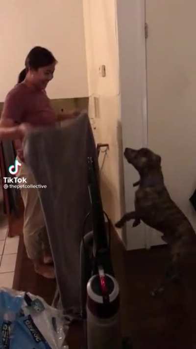 To confuse a dog