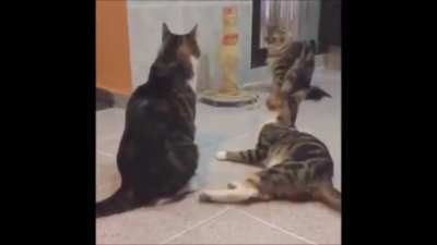 The trio of chaos