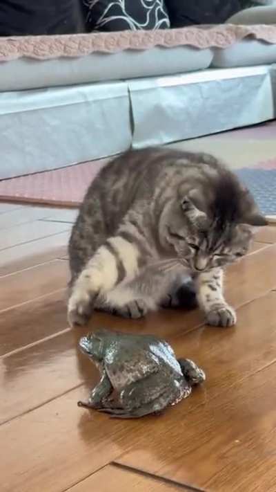 Scary creature!)