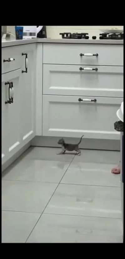 'The criminal is getting there, prepare the bait'.