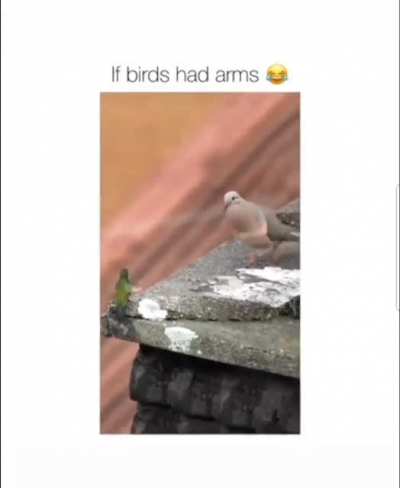 Those woodpeckers ?