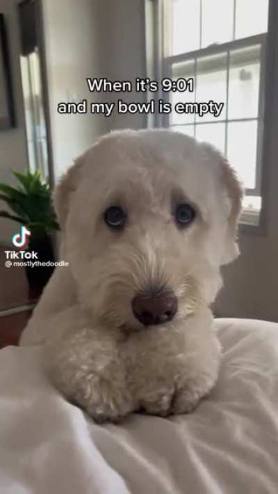 He knows how to use those sad eyes.