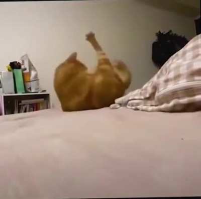 Come back here beans!!