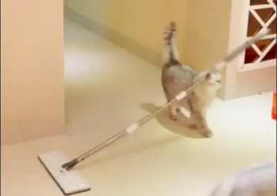 ?