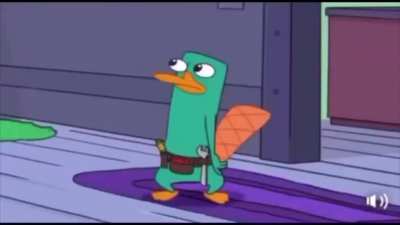 Perry the platypus????
