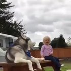 Yelling contest