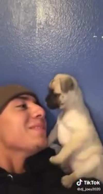 I'll give it to him, he's got balls. For now.