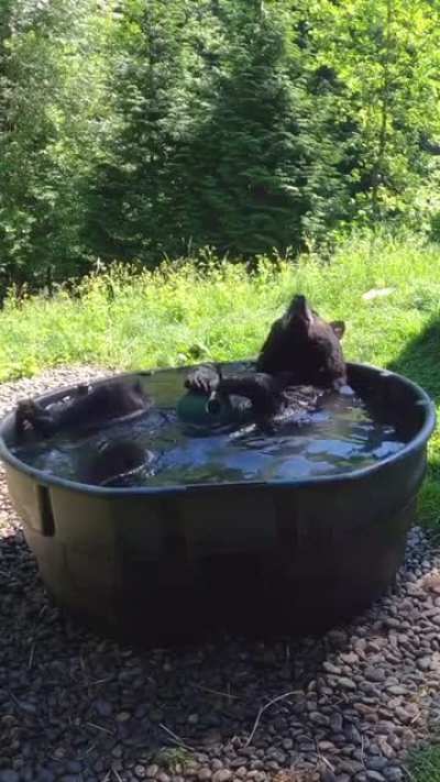 ? Bear relaxing and taking a bath ?