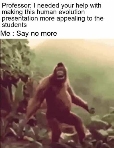 In a nutshell