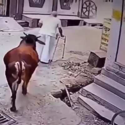 Just walking, minding your own buisness