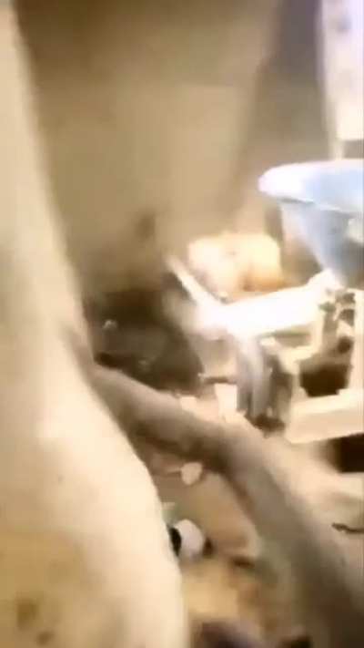 The more you fuck around the more you find out. ?