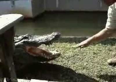 Maybe maybe maybe