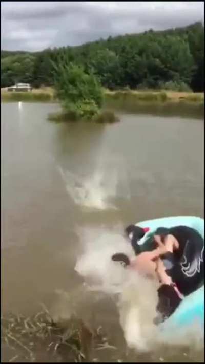 Now look at this: