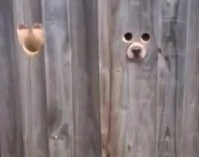You have a funny feeling like you’re being watched.